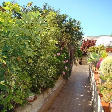 Orchard *