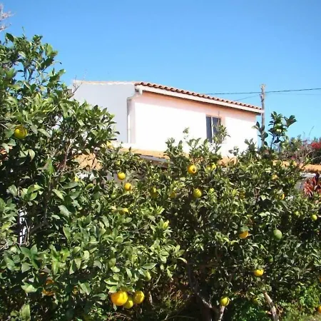 Appartement Orchard *