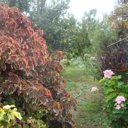 Appartement Orchard *